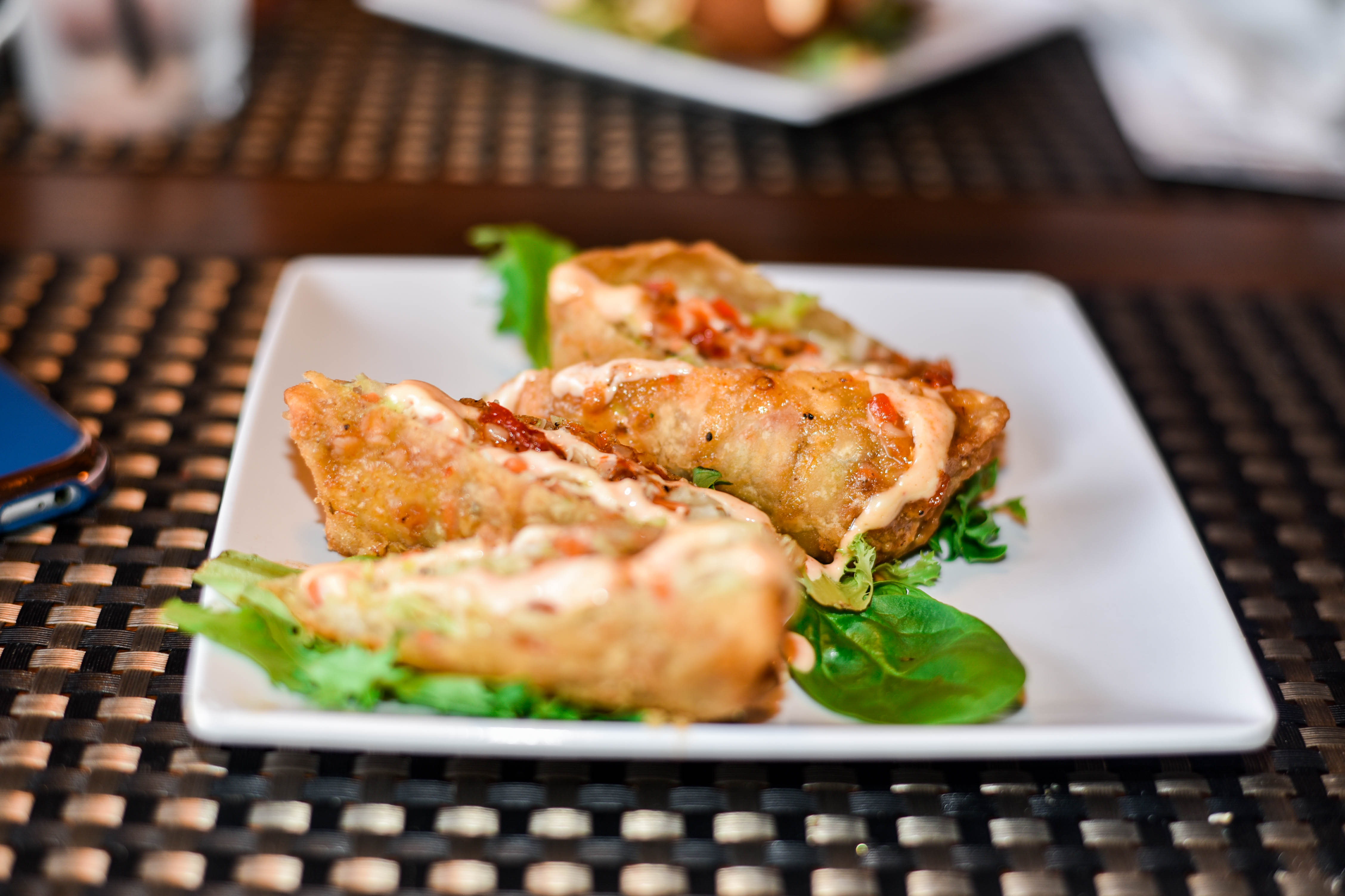 The Spice House Atlanta Food Review XL Tribe